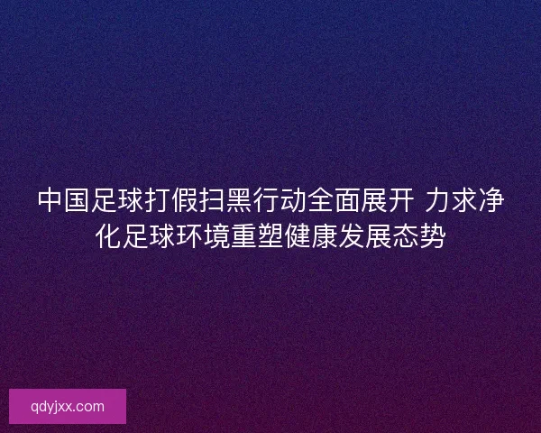 中国足球打假扫黑行动全面展开 力求净化足球环境重塑健康发展态势