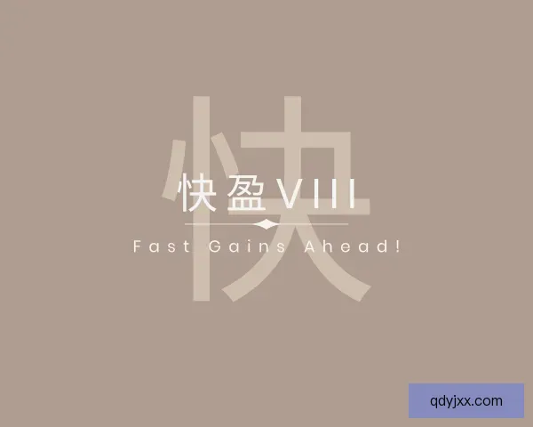 关于快盈VIII